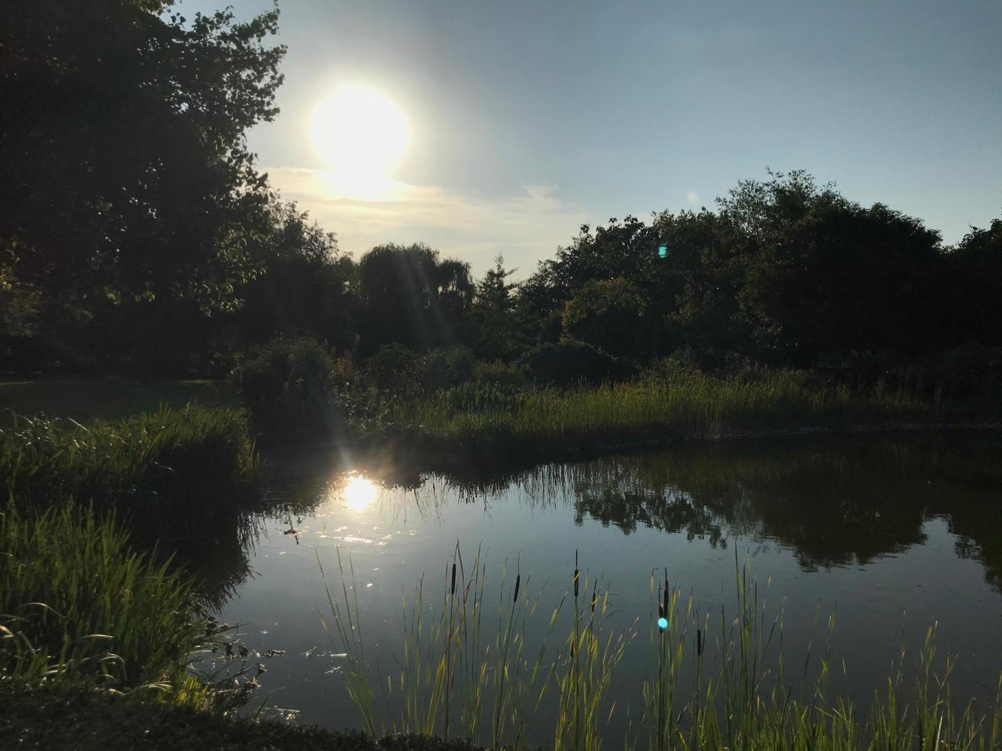 Imagine B&B Wortegem Luaran gambar