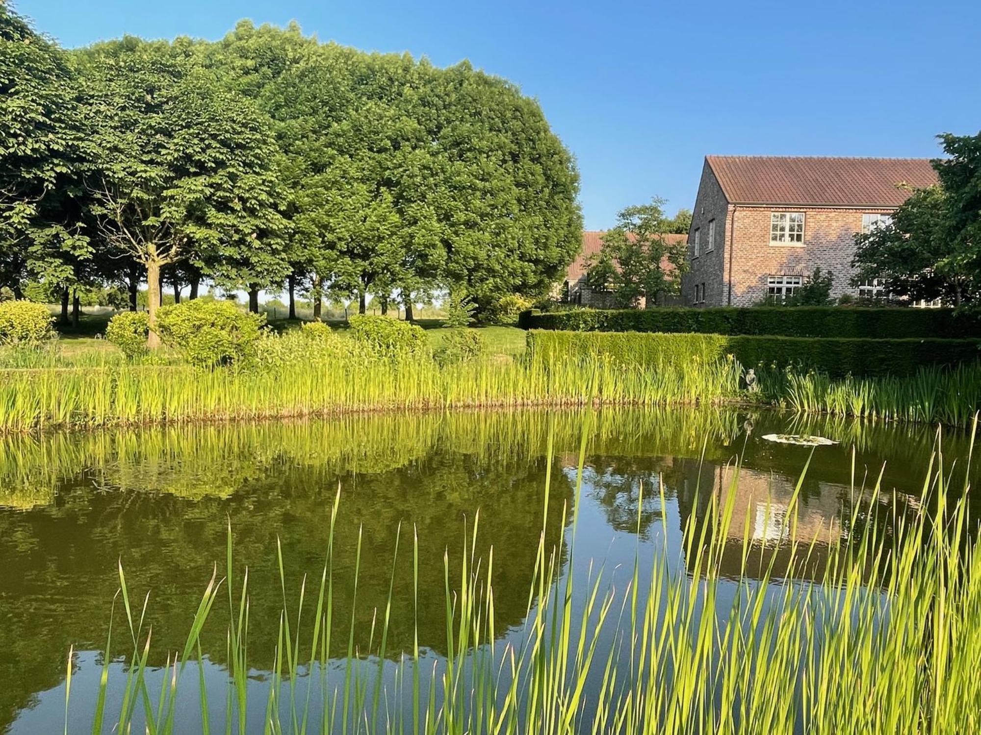 Imagine B&B Wortegem Luaran gambar